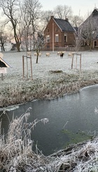 Iedyk 19 Jannum Anno 2024